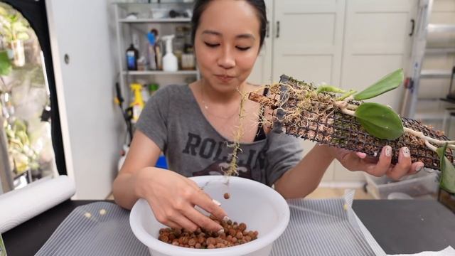 storytime and repot - part 1! weird things that have happened to me 🤨 смотреть онлайн