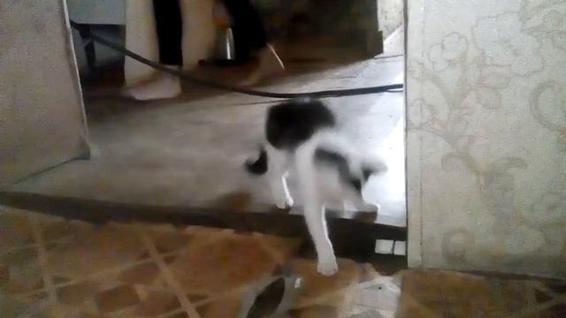 23 июля 2019 г. смотреть онлайн