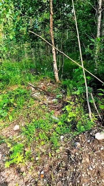 Находки на обочине #металлоискатель #металлолом смотреть онлайн