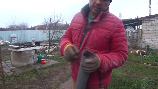 ТЮЛЕНІ ВЖЕ ГОТОВІ , НА МЯСО🐖 смотреть онлайн