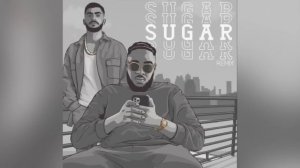 Butrint Imeri Ft Zubi Sugar Remix