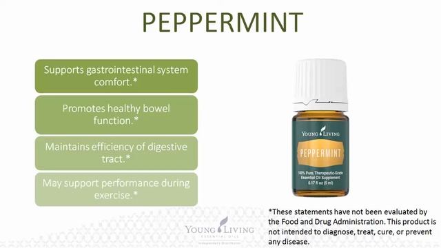 Introduction to the Young Living Lifestyle ONLINE with Tania смотреть онлайн