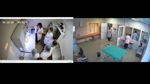 Чемпионат 2025 ПАПТ Ветеринария_200225