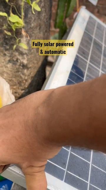 DIY plant watering system for rose in cinder смотреть онлайн