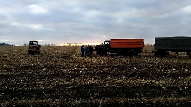 Уборка кукурузы смотреть онлайн