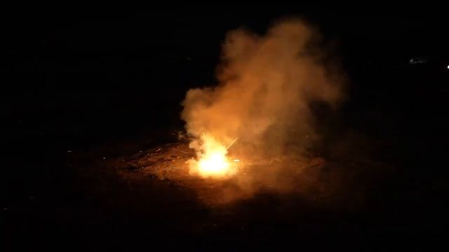 FPC211-2 МАЛИНОВКА С ТРЕСКОМ (жуки) смотреть онлайн