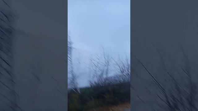 стрельба из лука, 50 метров смотреть онлайн