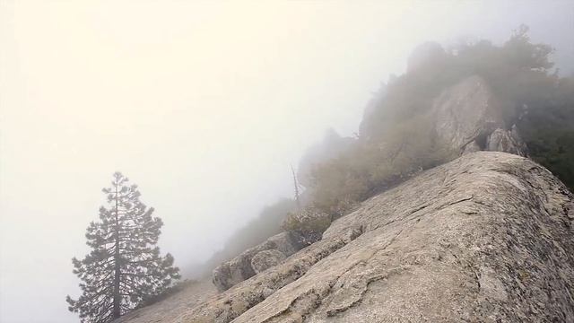 California National Parks смотреть онлайн