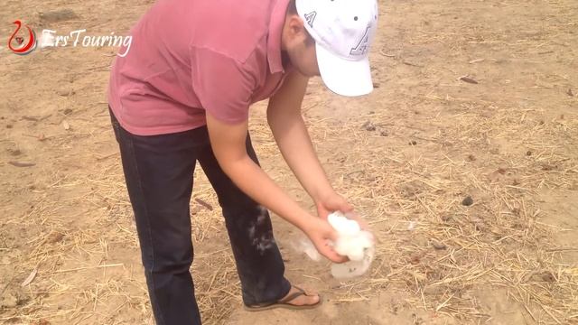 Ağaçta Pamuk NASIL yetişir? смотреть онлайн