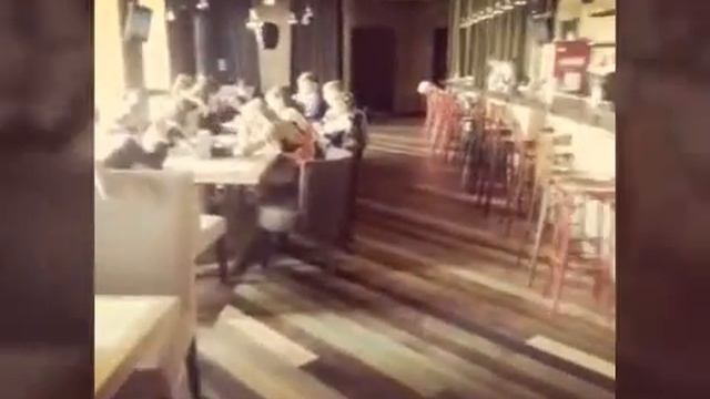 Central Cafe Kostroma смотреть онлайн