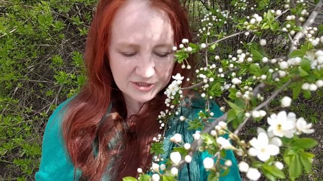 Мятный январь смотреть онлайн