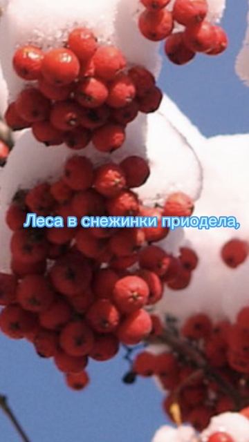 Красная рябина.♥️♥️♥️ Композитор-Эдгар Туниянц.👏🌟🎼 смотреть онлайн