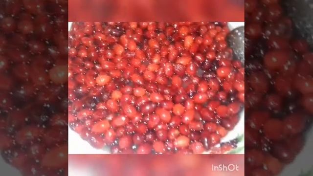 🔴Qis Ucun Zogal Murebbesinin Asan ve Lezetli Hazirlanma Qaydasi. смотреть онлайн