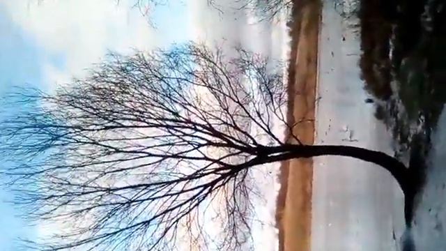Живу в Старом Изборске?\гуляли\ооочень круто,!!!💑❤ смотреть онлайн