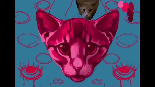 All Seeing Kitten Timelapse Procreate смотреть онлайн