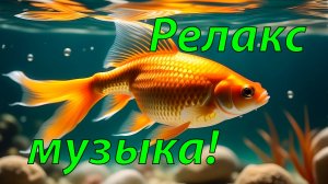 🐠 НЕВЕРОЯТНО КРАСИВАЯ АНТИСТРЕСС МУЗЫКА ДЛЯ ДУШИ 🎵 ПОДВОДНЫЙ МИР И МУЗЫКА ДЛЯ СНА И МЕДИТАЦИИ