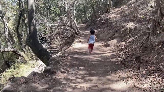 CERRO LA CAMPANA OLMUÉ fin de verano 2022 смотреть онлайн