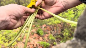 Как сплести ВЕНОК ИЗ ОДУВАНЧИКОВ / венок из ЦВЕТОВ