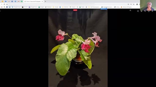 Photographing Your Plants смотреть онлайн