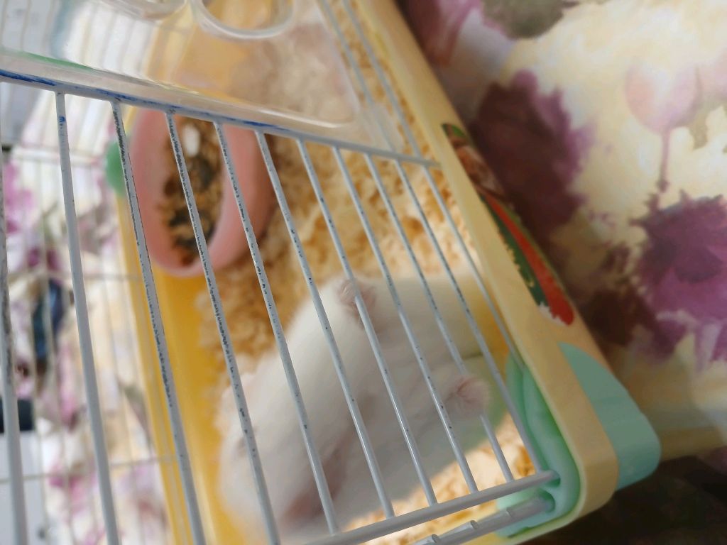 Сигма бой ой..приходи заходи сюда🥑 смотреть онлайн