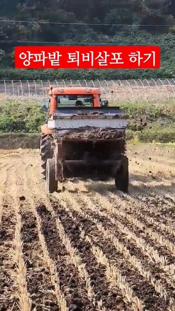 양파밭 밑거름 주는방법 #밑거름  #퇴비살포기 #양파농사