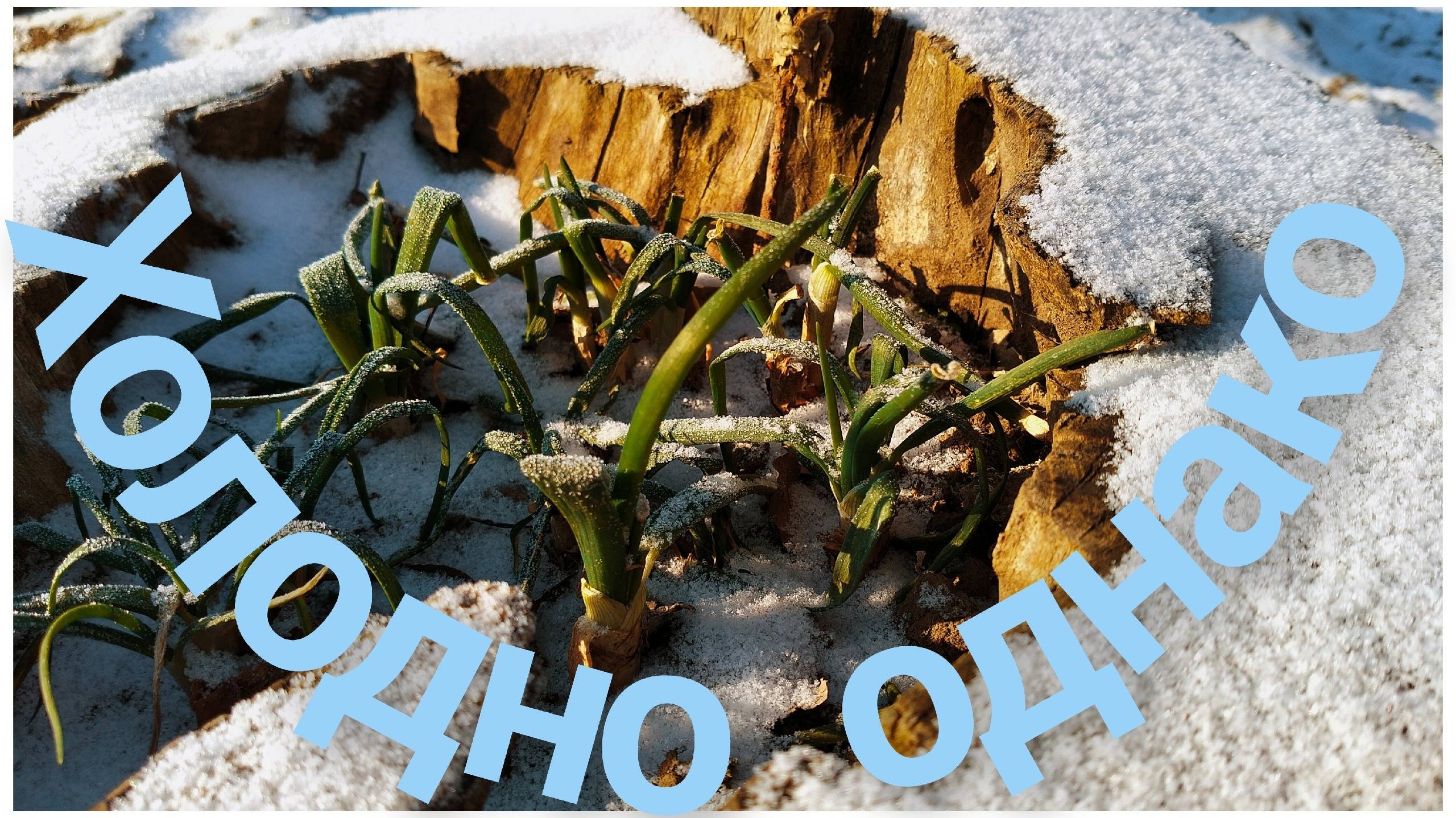 Кратко и содержательно.Он всё слышит.Так и живём! смотреть онлайн