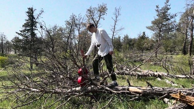 Nautilus Pompilius смотреть онлайн