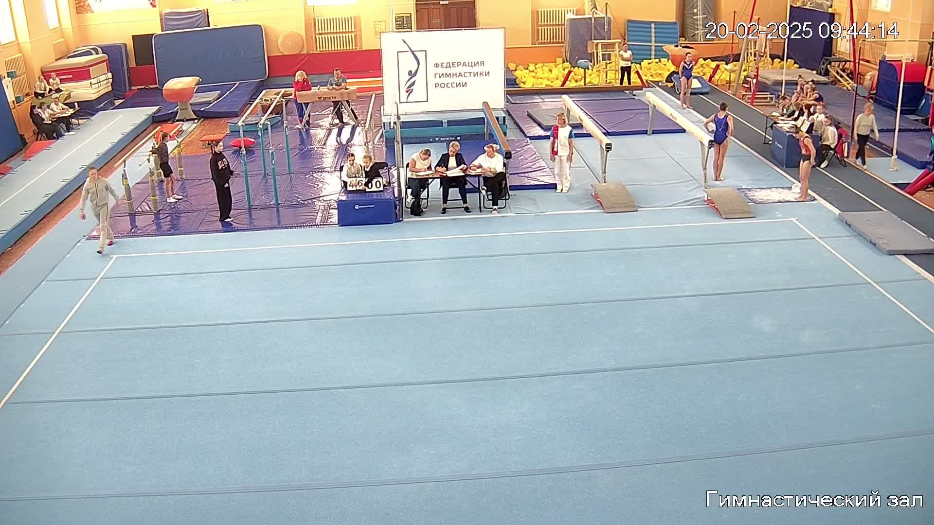 Чемпионат и Первенство СЗФО по спортивной гимнастике смотреть онлайн