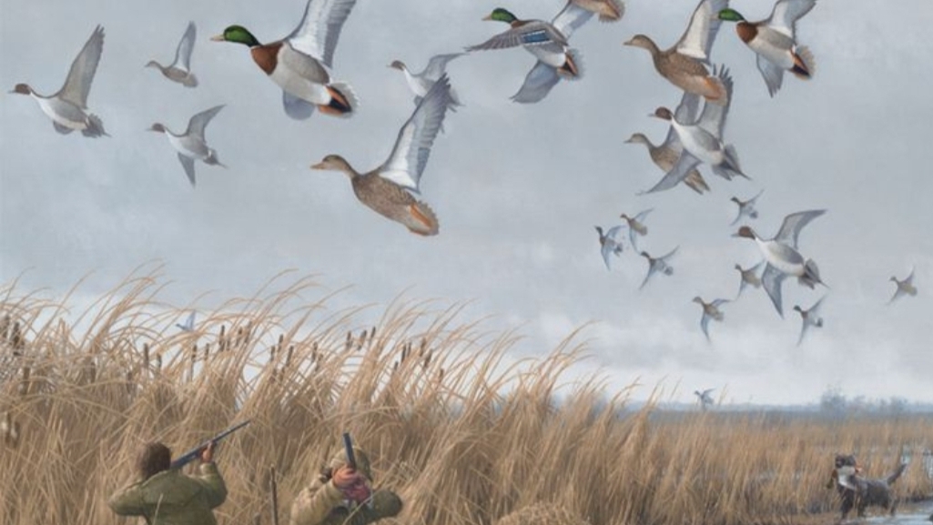 Охота на утку смотреть онлайн