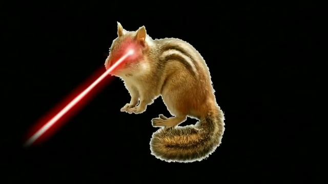 ПОПУГАЙ БАРСУК МЫШЬ КРЫСА БУРУНДУК 1 ЧАС! смотреть онлайн