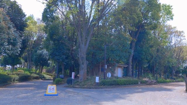 No.570【4K】横山公園（相模原市中央区）