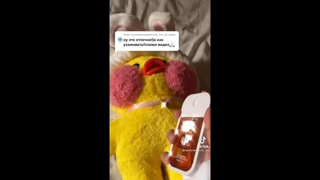💝/уточки из тик тока/💝/lalafanfan/💖 смотреть онлайн