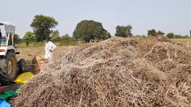 Soyabin harvesting thrashing in malva reason india смотреть онлайн