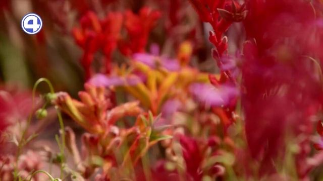 ВИРТУАЛЬНАЯ ЭКСКУРСИЯ ПО САМЫМ КРАСИВЫМ МЕСТАМ ПЛАНЕТЫ: Присоединяйтесь к путешествию! 27.05.2024 смотреть онлайн