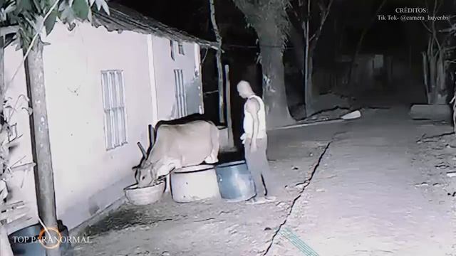 5 Encuentros Más Aterradores Captados En Cámara Parte 16 Fantasmas Y Criaturas TERROR REAL 2025