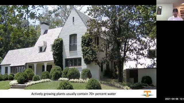 Helping Tall Fescue Lawns Thrive смотреть онлайн