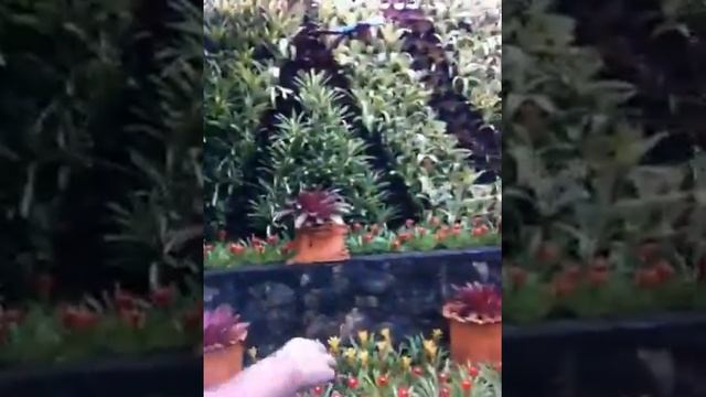 สวนสัปะรดสี смотреть онлайн