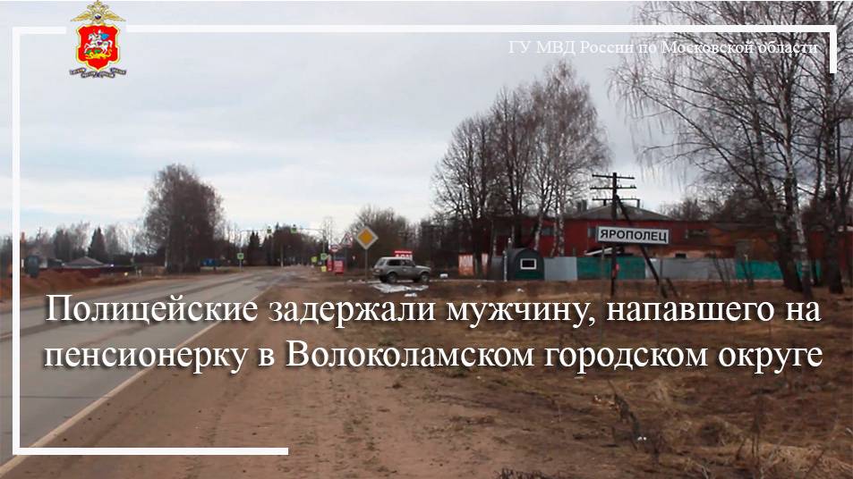 Полицейские задержали мужчину, напавшего на пенсионерку в Волоколамском городском округе смотреть онлайн