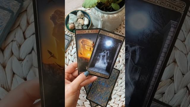 Цветущий мир