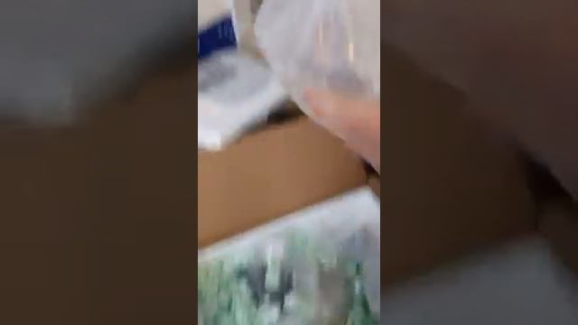 Unboxing opening live aquaria order Dwarf lion fish and sea cucumber смотреть онлайн