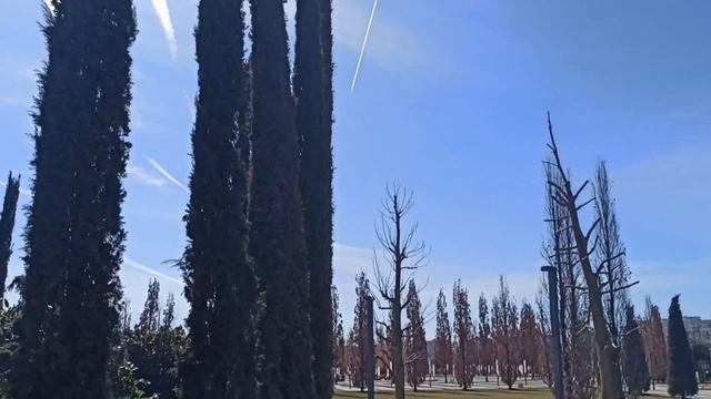 Прогулка по парку Галицкого 03.03.20 смотреть онлайн