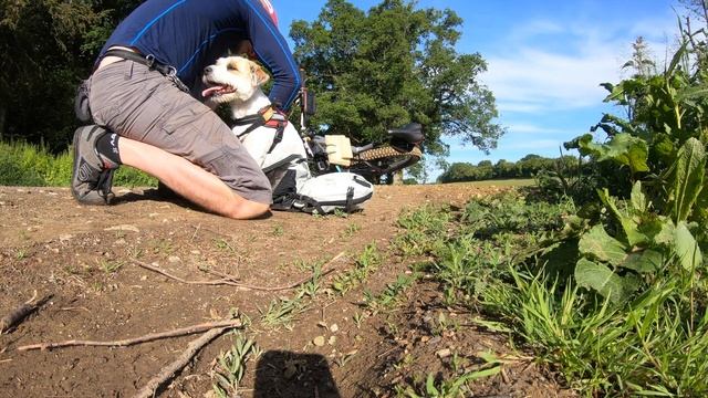 Trans Euro Trail with Ebike and Dog смотреть онлайн