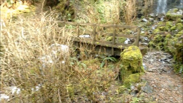 Niagara Falls trail on Hebo Ranger District смотреть онлайн