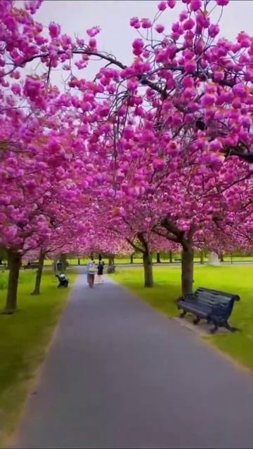 whatsapp status || peace 😌 смотреть онлайн