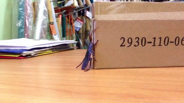 Мульт 2 (сделано на айфоне) смотреть онлайн