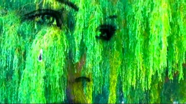 Нэнси - Горько Плакала Ива