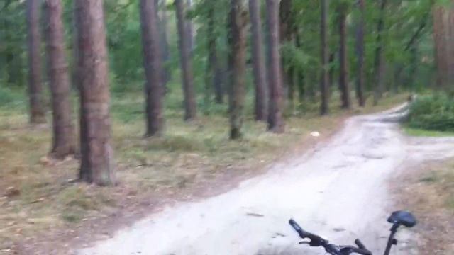 Макака на "байке" в лесу смотреть онлайн
