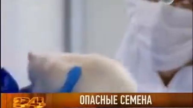 Продукты мутанты приходят в Россию смотреть онлайн