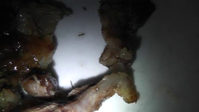 если мясо воняет мочей