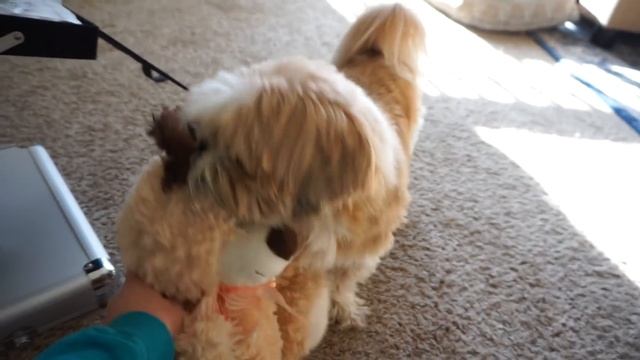 Vlog: APRIL SEPHORA GRATIS + SURPRISE PACKAGE смотреть онлайн